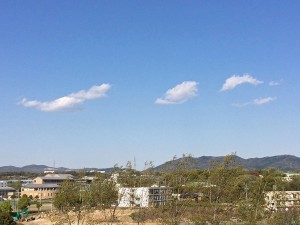 IMG_9006