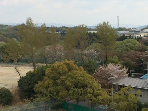 IMG_9011