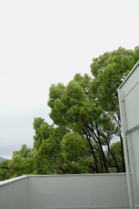 DSC04549