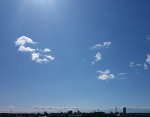 DSC04563