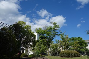 DSC04564