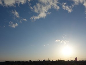 DSC04565