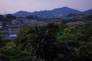 DSC04604