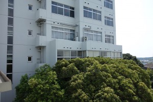 DSC04643