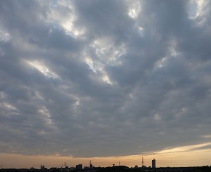 DSC04781