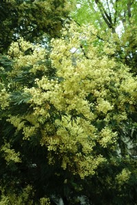 DSC04788