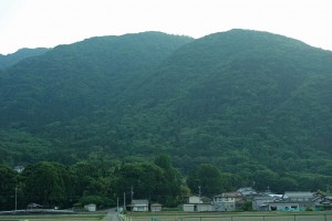 DSC04854