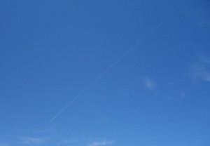 DSC04900