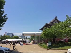 IMG_9081 (1)