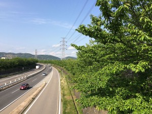 IMG_9086