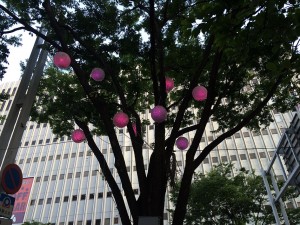 IMG_9151
