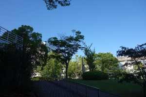 DSC05068