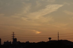 DSC05079