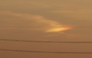 DSC05080