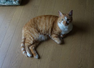 DSC05176