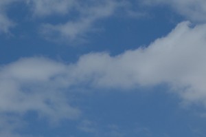 DSC05192