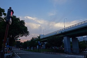 DSC05259