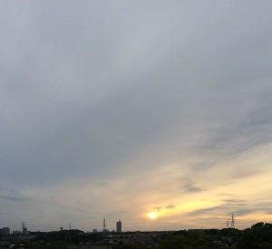 IMG_9253