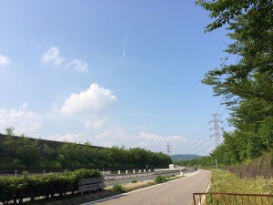 IMG_9312