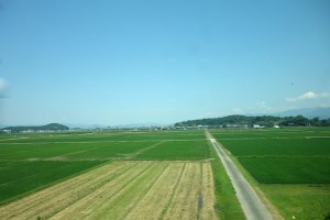DSC05359