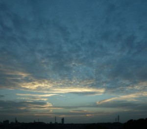 DSC05369