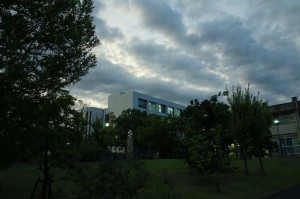 DSC05388