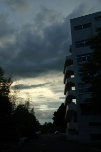 DSC05392