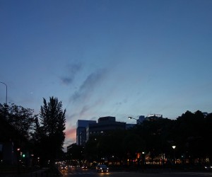 DSC05508