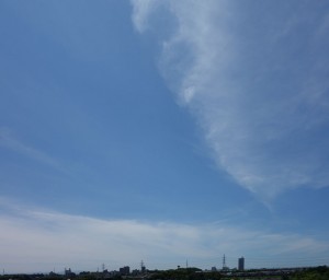 DSC05556