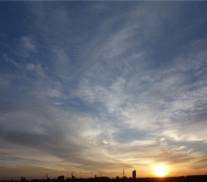 DSC05561