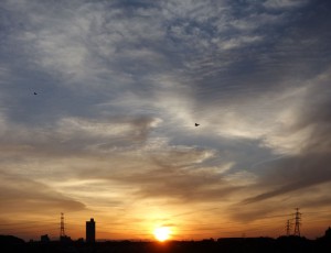 DSC05574