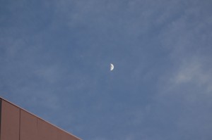 DSC05576