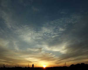 DSC05577