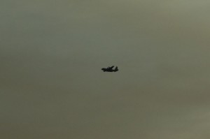 DSC05580