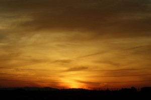 DSC05597