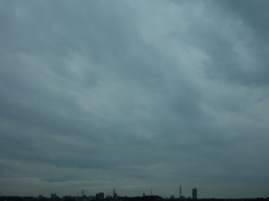DSC05598