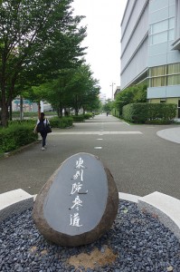 DSC05620