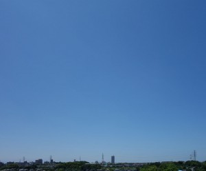 DSC05651