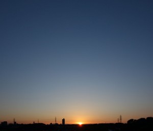 DSC05653