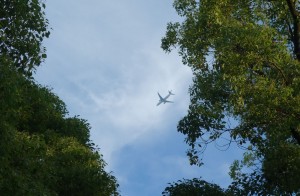 DSC05772