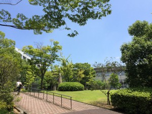 IMG_9407