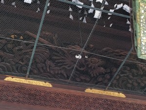 IMG_9478