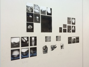 IMG_9577