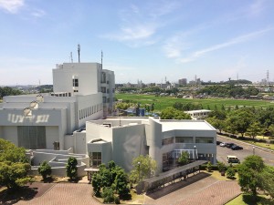 IMG_9616