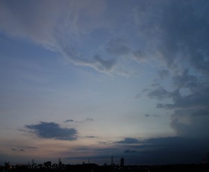 DSC05955