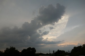DSC05959