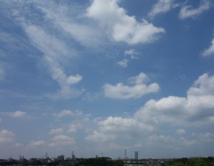 DSC06163