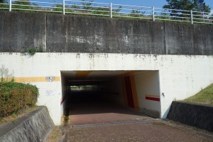 DSC06174