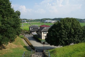 DSC06178