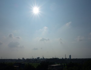 DSC06217